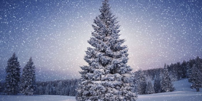 1920x1080 Christmas Snow Scene Wallpaper on WallpaperGet.com