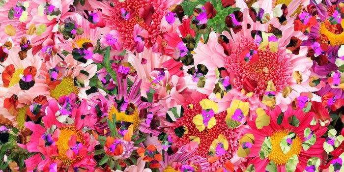 1440x900 Wallpaper For Tumblr (46+ images) on Genchi.info