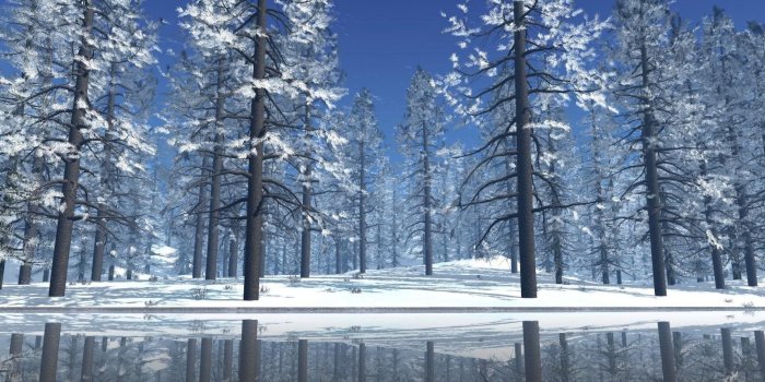 1920x1080 Christmas Snow Scene Wallpaper ·① WallpaperTag