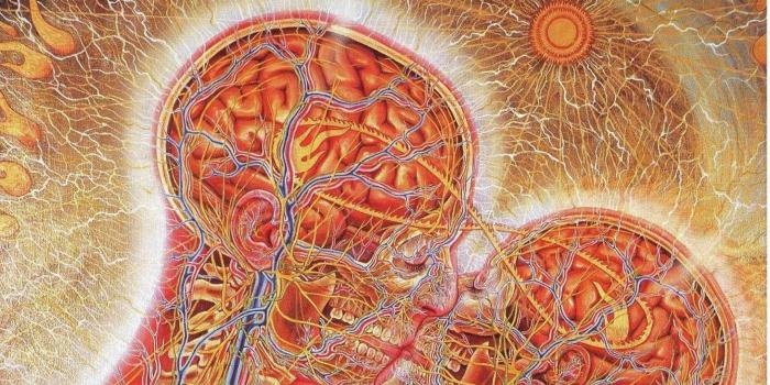 1920x1080 Human anatomy illustration HD wallpaper | Wallpaper Flare