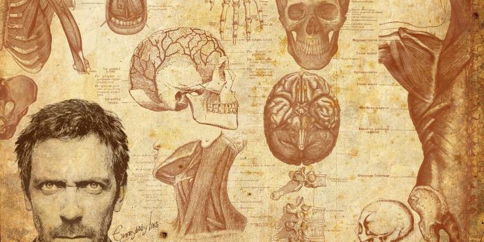 2560x1600 68+ Human Anatomy Wallpapers on WallpaperPlay