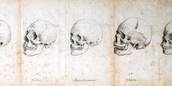 3178x1205 Human Anatomy Wallpaper (54+ images)