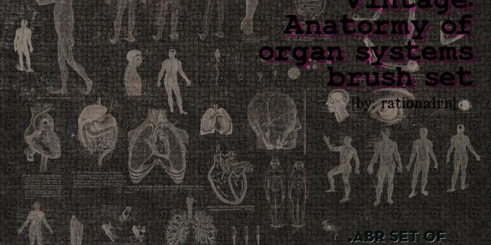 1600x1200 Human Anatomy Wallpapers