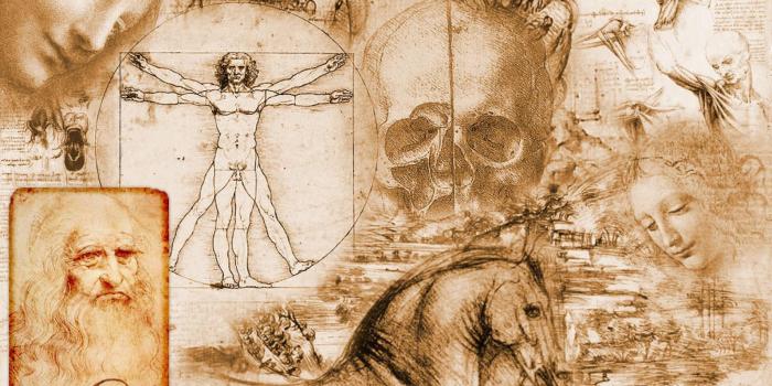 1920x1080 Anatomy human body nerves wallpaper WallpaperUP 1920x1080