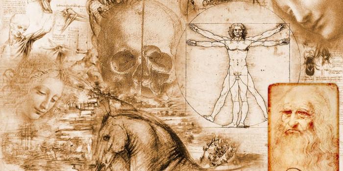 1920x1080 68+ Human Anatomy Wallpapers on WallpaperPlay