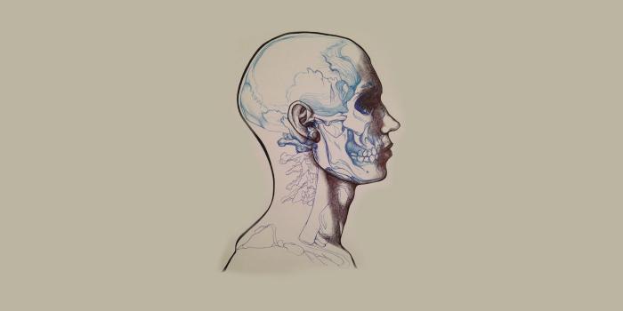 1920x1080 Anatomy wallpaper Gallery