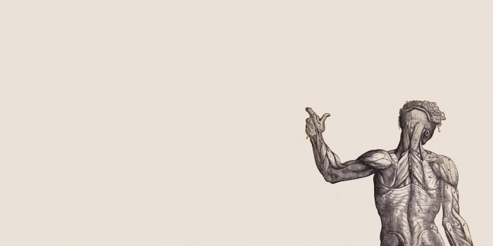 1280x800 Human Anatomy Wallpapers Wallpapers Zone Desktop Background