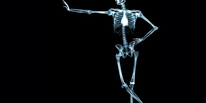 1600x1200 Download Human Body Wallpaper (63+) - Free Wallpaper For your screen.