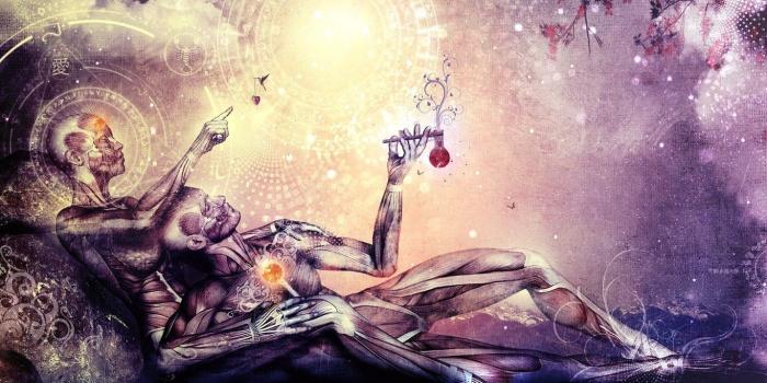 1366x768 Human Anatomy Wallpaper Desktop UPSTORE 1366x768