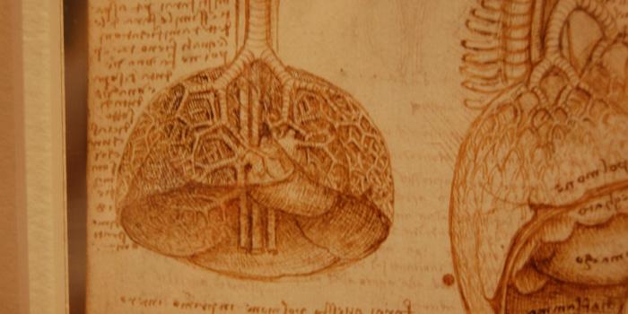 3008x2000 Human Anatomy Wallpaper 54+ - hdwallpaper20.com