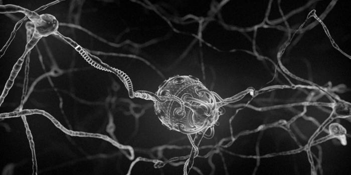 1920x1080 digital, Art, Microscopic, Nerves, Cg, Anatomy, Human 4K HD