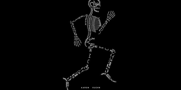 1920x1200 63 Anatomy HD Wallpapers | Background Images