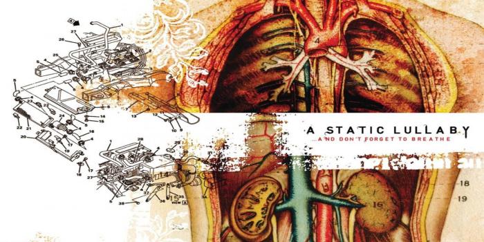 1920x1080 Anatomy Wallpapers PC #167IZL7 - 4USkY