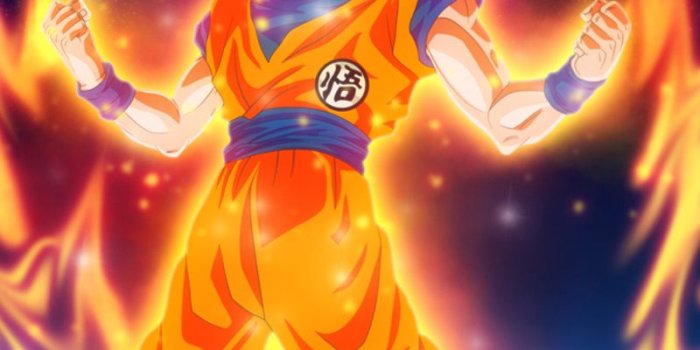 800x1280 800x1280 Goku Dragon Ball Super Anime HD Nexus 7,Samsung Galaxy Tab