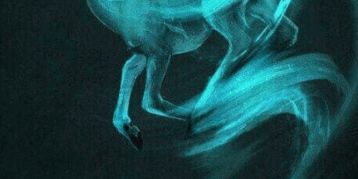 750x1334 volgyid on Films and books | Harry potter