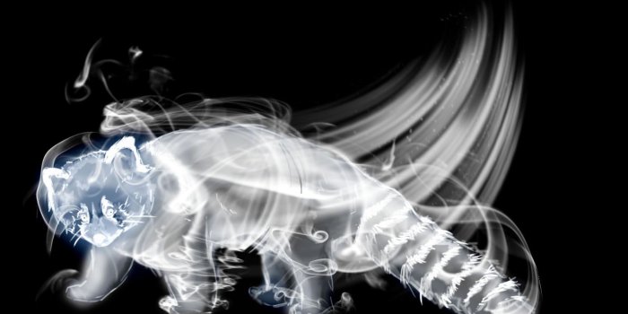 1500x1000 View topic - Dumbledore's Army - Chicken Smoothie