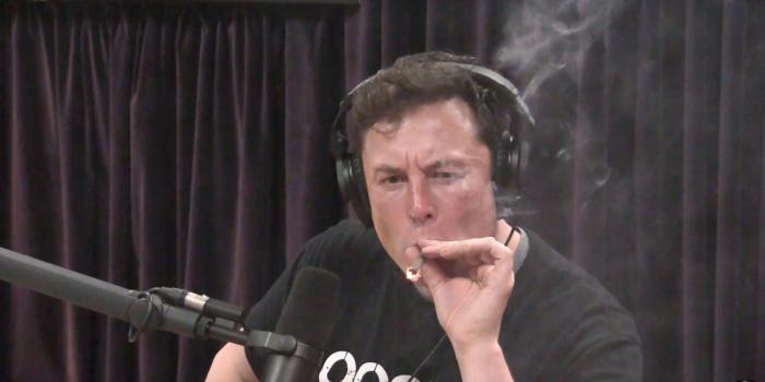 3360x1856 Elon Musk smokes weed during interview