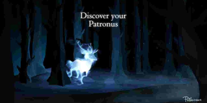 1275x720 Pine Marten Patronus Meaning