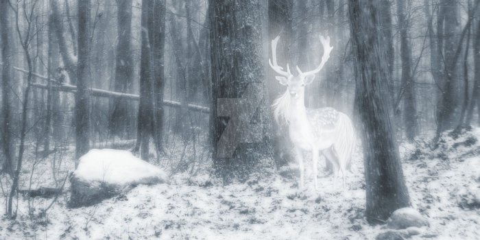 1600x1008 Bass Wallpaper Patronus – Billy Knight