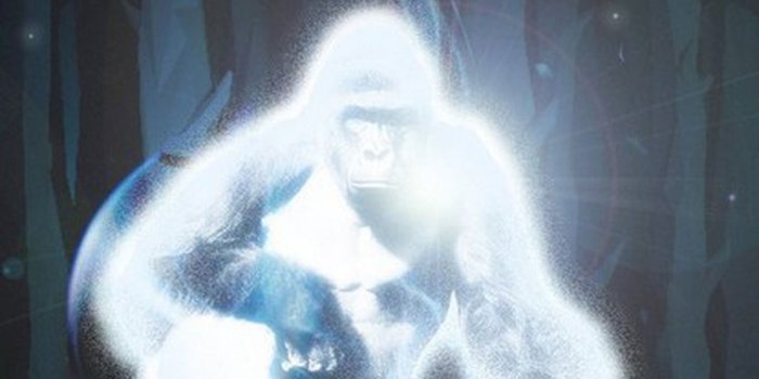 1200x675 Greenbelt Bowl ⁓ Try These Pottermore Patronus Hedgehog