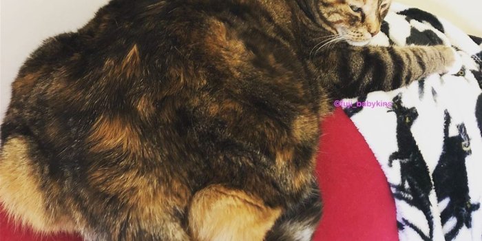 1080x1080 sweetling Photos images pics