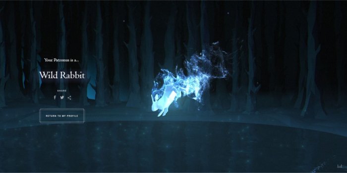 1552x740 Soy un puto Hufflepuff y mi patronus es un ridículo conejo. Entra y