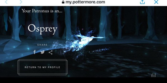 1200x675 30603373 C. Robert Cargill on