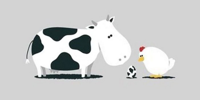 1080x1920 Funny Cartoon iPhone Wallpaper | 2019 3D iPhone Wallpaper