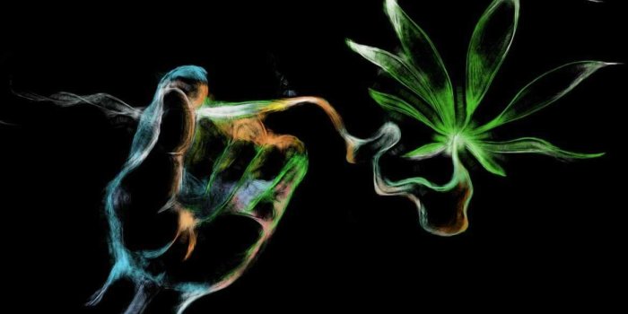 1170x763 Marijuana Wallpaper Archives - Marijuana Seed Banks