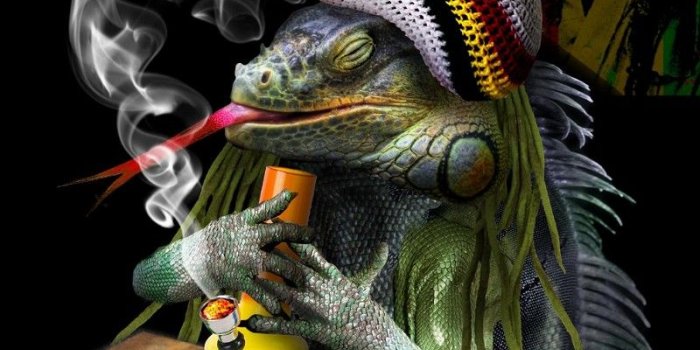 800x1050 Smoking weed wallpaper Gallery