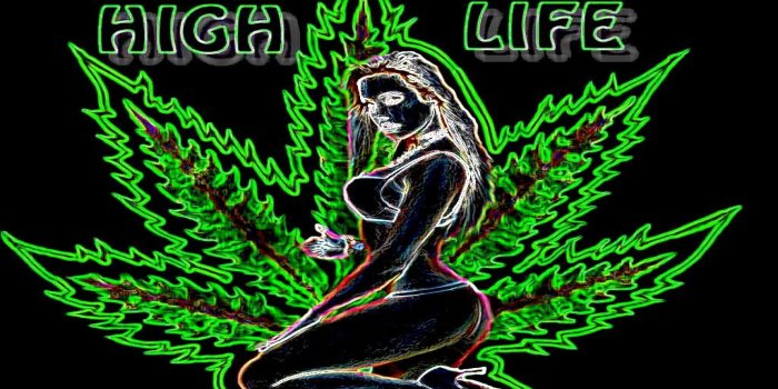 2560x1440 Weed Fever Woman High Green Life - 2560x1440 | HD Weed Wallpapers