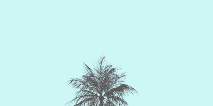 720x1281 iPhone and Android Wallpapers: Pastel Tropical Wallpaper for iPhone