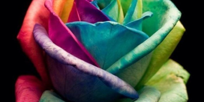 750x1334 iPhone 6 Colour Wallpaper | Wallpapers in 2019 | Rainbow wallpaper