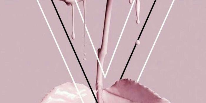 736x1309 iPhone and Android Wallpapers: Paintdripping Rose Wallpaper for