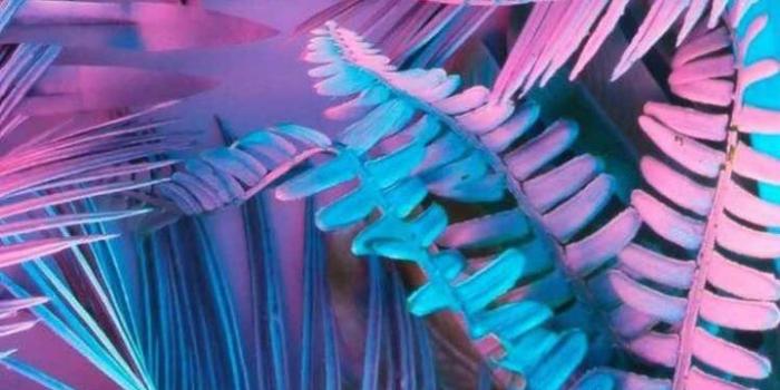 720x1280 iPhone and Android Wallpapers: Pastel Leaf Wallpaper for iPhone and