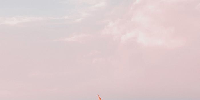 2276x1920 Wallpaper Monday – 305 [Pastel by @irungu_] | Mutua Matheka