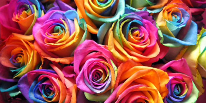 2592x1944 Rainbow Flower Wallpapers (64+ background pictures)