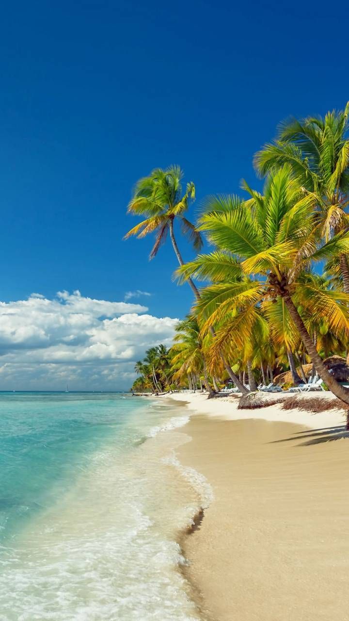 720x1280 Tropical Beach | Gold in 2019 | Beach scenery, Beach wallpaper, Beach