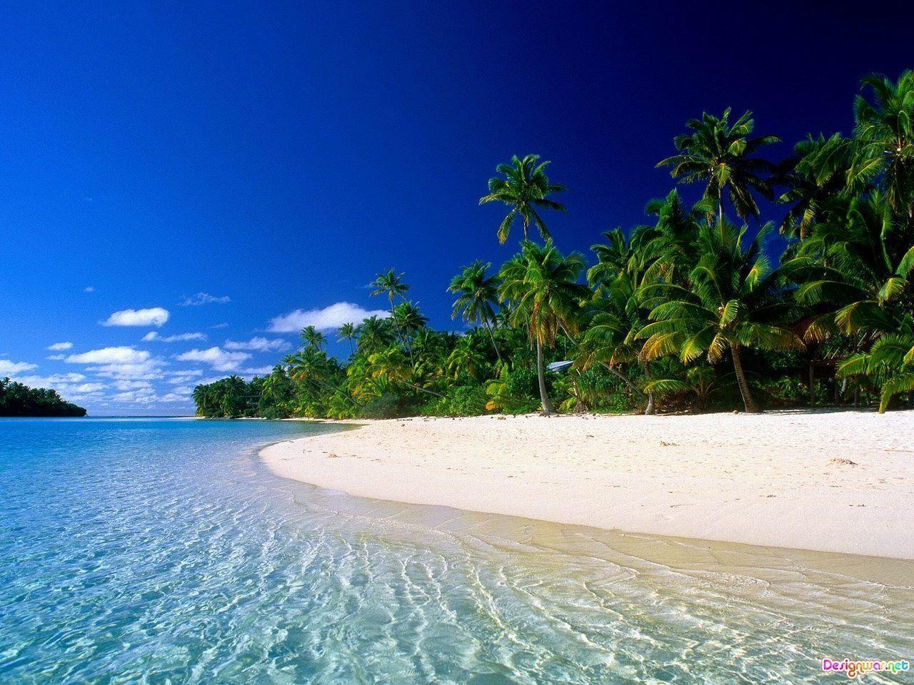 1280x960 Free Tropical Desktop Backgrounds