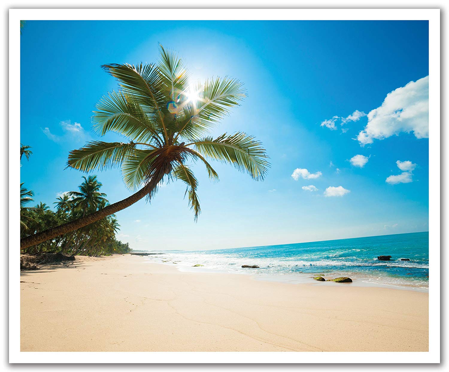 1500x1245 JP London POSLT2255 uStrip Lite Removable Wallpaper Decal Sticker