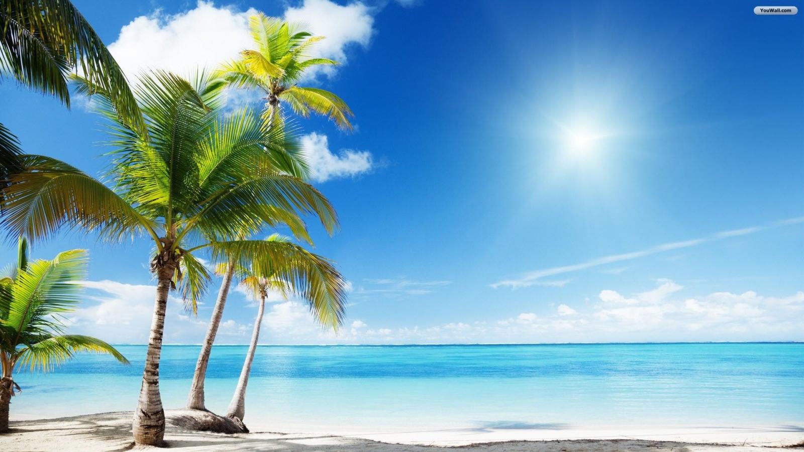 1920x1080 Tropical Beach Scenes Wallpaper (49+ images)