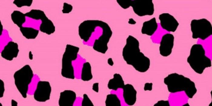 728x1294 pink girly desktop wallpapers | Pomelo Tapet