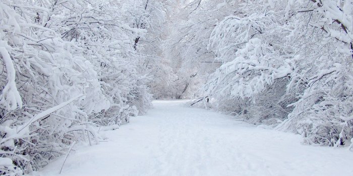 1920x1200 Beautiful White Winter Snow Wallpaper [1920x1200]