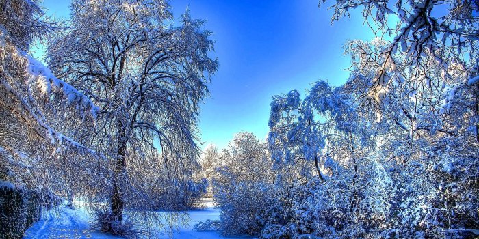 2560x1600 Beautiful Winter Snow Wallpaper #7007145