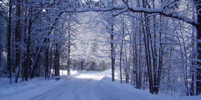 1600x1200 Beautiful Wallpapers: Snowfall Wallpaper