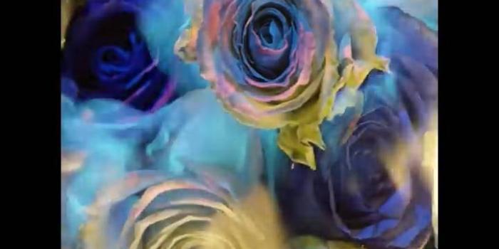 720x1280 BTS singularity Wallpaper by KimYoungmi - 7a - Free on ZEDGE™