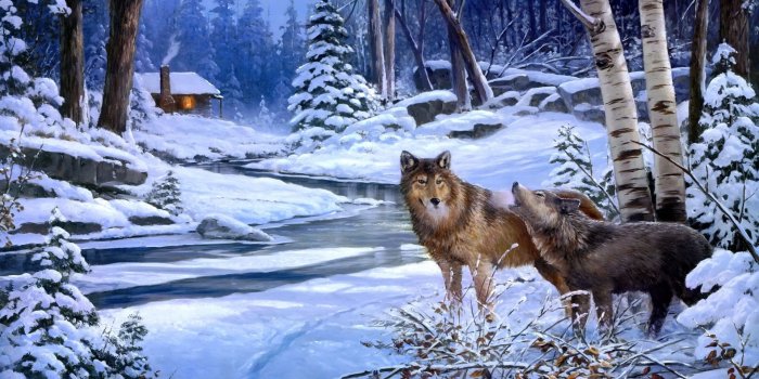 1920x1200 Beautiful Winter Wallpaper HD for desktop