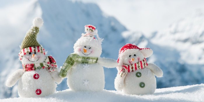 1600x1000 Download Most Beautiful Real Snowfall in Winters HD Wallpapers