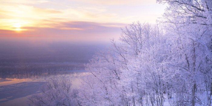 1920x1080 wallpaper-high-snow-trees-scenery-quality-beautiful-136300