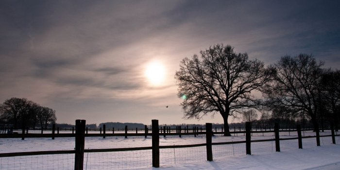 1920x1200 Beautiful Snow Fence Wallpaper #6776500